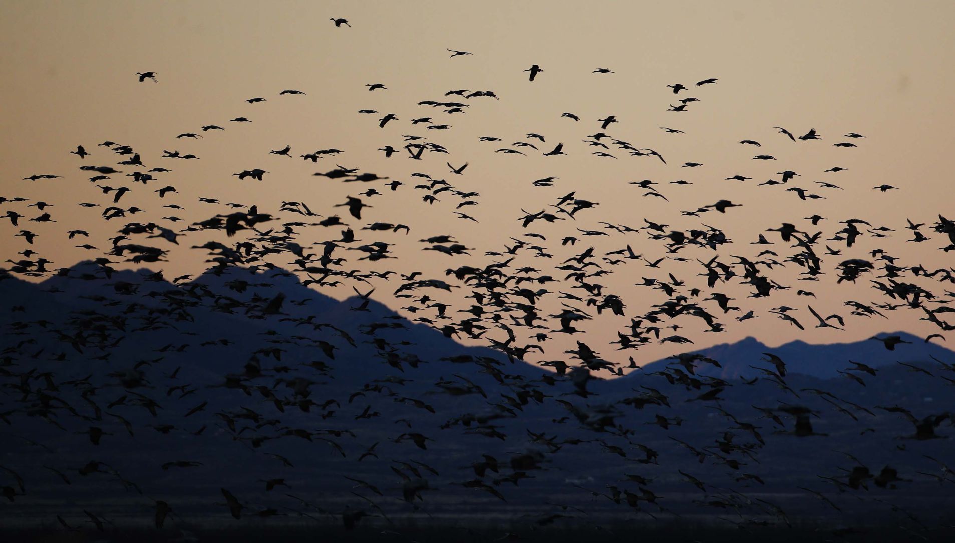 2018 Wings over Willcox
